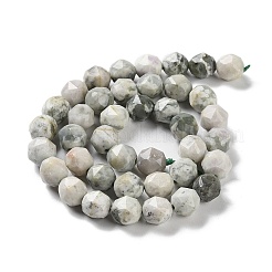 Natürliche Frieden Jade Perlen Stränge&nbsp;G-NH0021-A08-02