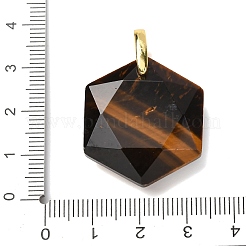 Pendentifs à facettes en oeil de tigre naturel&nbsp;G-B188-03G-02