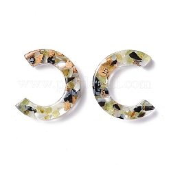 Harz Cabochons&nbsp;LS-RESI-C006-01A