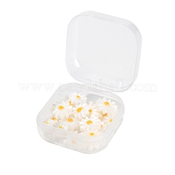 20pcs 4 natürliche Süßwasser-Muschelperlen&nbsp;SHEL-LS0001-03
