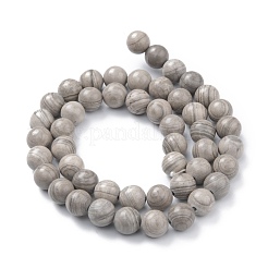 Natürliche Silber Linie Jaspis Perlen Stränge&nbsp;G-P451-03A-A