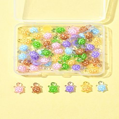 60 Stück 6 Farben leuchtende Harz-Cabochons&nbsp;RESI-FS0001-95