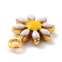 Charms del esmalte de bronce&nbsp;X-KK-K260-03G-RS
