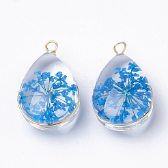 Pendentifs en verre&nbsp;X-GLAA-Q070-005