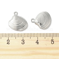 Messing Anhänger & Charms&nbsp;FIND-B046-05P
