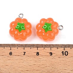 Pendentifs en résine opaque&nbsp;LS-RESI-N039-124