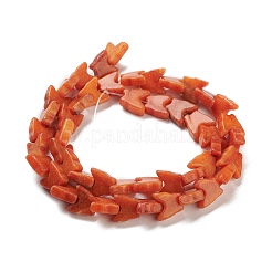 Fili di perline howlite naturale&nbsp;TURQ-K006-01C