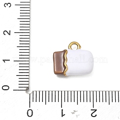304 Edelstahl-Emaille-Anhänger&nbsp;SA-CBA6BE2-04G