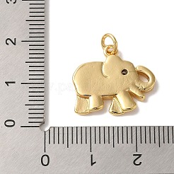 Porte micro ouvrent pendentifs zircone cubique en laiton de placage&nbsp;KK-L220-025G