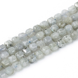 Chapelets de perles en labradorite naturelle , facette, cube, 6~6.5x6~6.5x6.5mm, Trou: 1mm, Environ 62 pcs/chapelet, 14.8 pouce (37.6 cm)