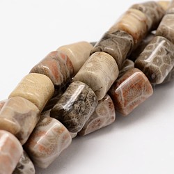 Brins de perles de corail fossiles naturels, colonne, 13x10mm, Trou: 1mm, Environ 31~32 pcs/chapelet, 15.63 pouce
