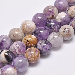 Brins de perles d'améthyste à chevrons naturels, ronde, 12mm, Trou: 1mm, Environ 33 pcs/chapelet, 14.8 pouce (37.5 cm)