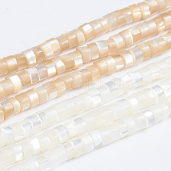 Chapelets de perles de coquille de trochid / trochus coquille, colonne, couleur mixte, 3.5~4x2~2.5mm, Trou: 0.8mm, Environ 176 pcs/chapelet, 15.94 pouce (40.5 cm)