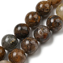 Brins de perles de jaspe feuille d'or naturel, ronde, 10mm, Trou: 1mm, Environ 39 pcs/chapelet, 15.24'' (38.7 cm)