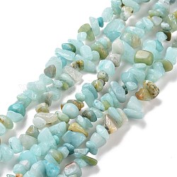 Brins de perles d'amazonite naturelle, 5~8x5~8mm, Trou: 1mm, environ 31.5 pouce