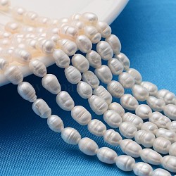 Hebras de perlas naturales cultivadas de agua dulce de grado aa, idea para regalo del día de la madre, abalorios de arroz, blanco, 4~5mm, agujero: 0.8 mm, aproximamente 50~55 pcs / cadena, 13.7 pulgada