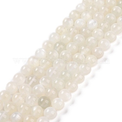 Naturelles perles pierre de lune blanc brins, grade AB, ronde, blanc, 8mm, Trou: 1mm, Environ 49 pcs/chapelet