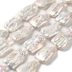 Chapelets de perles en Keshi naturel, perles baroques, perle de culture d'eau douce, rectangle, niveau 4a+, vieille dentelle, 29~35.5x20x7~12mm, Trou: 0.7mm, Environ 12 pcs/chapelet, 15.59~16.14'' (39.6~41 cm)