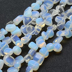 Chapelets de perles d'opalite, puce, 11~22x8~11x4~10mm, Trou: 1mm, 15.3 pouce (39 cm)