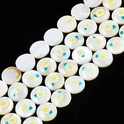 Perles d'émail de coquille d'eau douce naturelle, plat et circulaire avec fleur, jaune, 11x3mm, Trou: 0.8mm, Environ 32 pcs/chapelet, 14.37 pouce (36.5 cm)