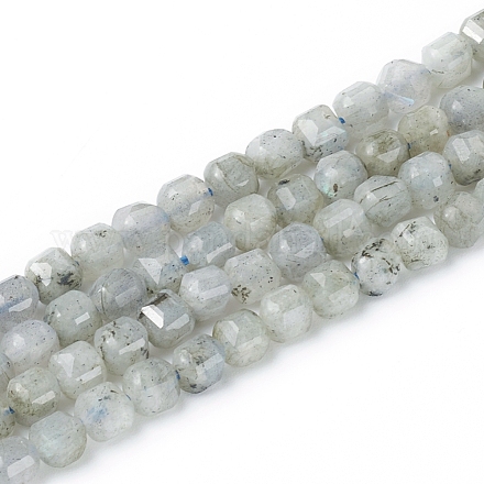 Chapelets de perles en labradorite naturelle  G-I270-04-1