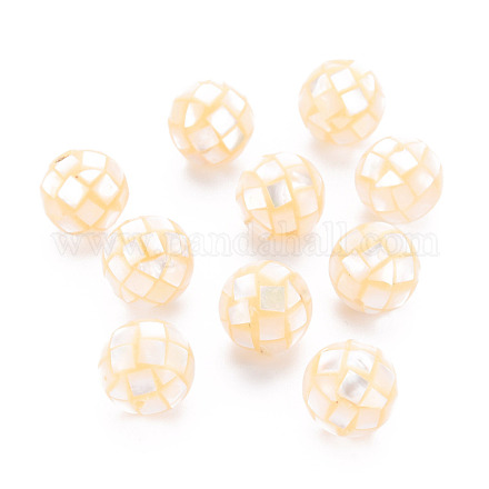 Perles en résine SSHEL-T014-38-12mm-05-1