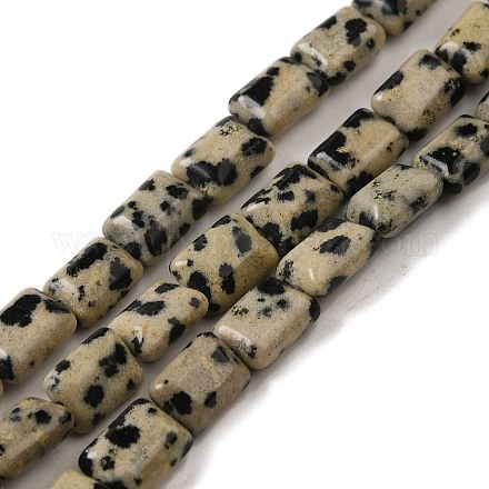 Chapelets de perles en jaspe dalmatien naturelle G-G085-A13-01-1