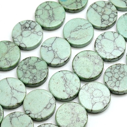 Synthetic Turquoise Flat Round Beads Strands G-P063-79-1