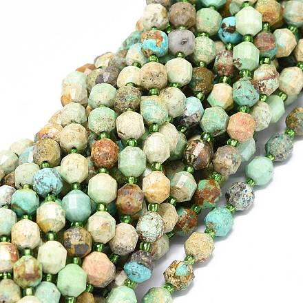 Chapelets de perles en turquoise naturelle G-O201B-66A-1
