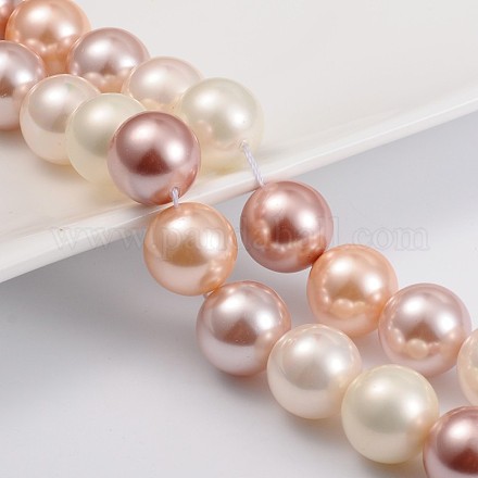 Shell Pearl Beads Strands BSHE-Q007-8-1