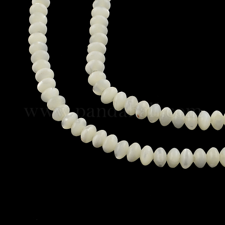 Rondelle naturelle trochid shell / trochus shell perles de brins SSHEL-F290-29-1