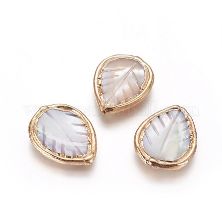 Perles de coquille&nbsp;BSHE-G020-05G-A-1