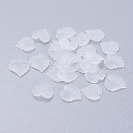Transparent Acrylic Pendants PL591-1-1