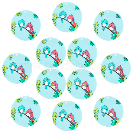 SUNNYCLUE 1 Box 12Pcs Birds Charms Acrylic Pendant Charm Bulk Cartoon Animal Jewelry Findings for Earring Bracelet Necklace Wine Glass Charms Jewelry Making Supplies Craft KY-SC0001-28-1