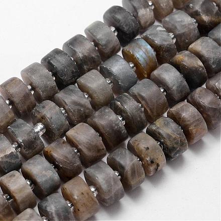 Natural Labradorite Beads Strands G-H044-15-S-1