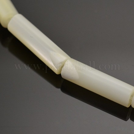 Natural White Mother of Pearl Shell Column Beads Strands SSHEL-E551-34-1