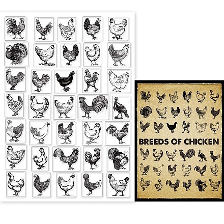 GLOBLELAND Farm Chicken Clear Stamps for Card Making Decorative Breed of Chicken Rooster Hen Transparent Silicone Stamps for DIY Scrapbooking Supplies Embossing Paper Card Album Decoration Craft DIY-WH0296-0012-1