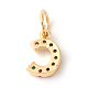 Brass Micro Pave Colorful Cubic Zirconia Charms ZIRC-F092-01-C-2
