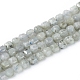 Chapelets de perles en labradorite naturelle  G-I270-04-1