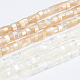 Fili di perle di conchiglia trochid naturale / trochus SSHEL-L016-13-1