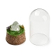 Natural Quartz Crystal Nuggets Display Decoration with Glass Dome Cloche Cover DJEW-B009-03B-2