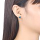 925 Sterling Silver Stud Earrings EJEW-BB30649-3