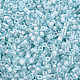蛍光色ガラスシリンダービーズ  シードビーズ  焼き付け塗料  丸い穴  ライトブルー  1.5~2x1~2mm  穴：0.8mm  約8000個/袋  約1ポンド/バッグ SEED-S047-P-009-3