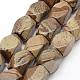 Natural Picture Jasper Faceted Rhombus Beads Strands G-L235-11-1