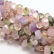 Nuggets Natural Gemstone Beads Strands G-E251-06-1
