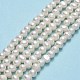 Natural Cultured Freshwater Pearl Beads Strands PEAR-F018-14-01-2