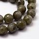 Faceted Natural Labradorite Beads Strands G-F364-17-10mm-3