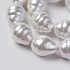 Chapelets de perles de coquille BSHE-F013-11-2