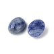 Cabochons de jaspe tache bleue naturelle G-A094-01B-49-2