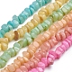Chapelets de perles de coquillage BSHE-G026-02-1